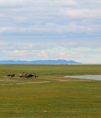 Khuduu Aral & die Geheime Geschichte der Mongolen